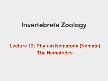 Lecture 12: Phylum Nematoda (Nemata) The Nematodes