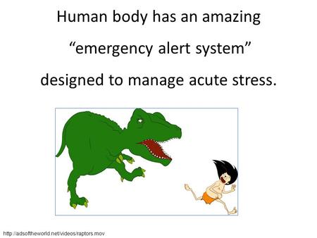 Human body has an amazing “emergency alert system” designed to manage acute stress.
