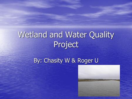 Wetland and Water Quality Project By: Chasity W & Roger U.