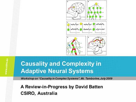 Workshop on “Causality in Complex Systems”, Mt. Tamborine, July 2009 A Review-in-Progress by David Batten CSIRO, Australia Causality and Complexity in.