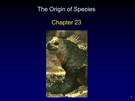 1 The Origin of Species Chapter 23. 2 Outline The Nature of Species Pre and Postzygotic Isolating Mechanisms Geography of Speciation Hawaiian Drosophila.