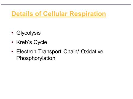 Details of Cellular Respiration Glycolysis Kreb’s Cycle Electron Transport Chain/ Oxidative Phosphorylation.