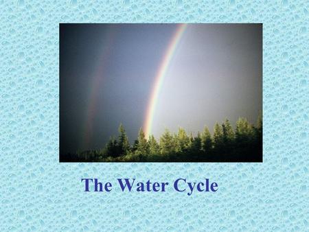 The Water Cycle Step 1 - Moisture condenses in the sky to form clouds.
