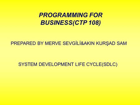 PROGRAMMING FOR BUSINESS(CTP 108) PREPARED BY MERVE SEVGİLİ&AKIN KURŞAD SAM SYSTEM DEVELOPMENT LIFE CYCLE(SDLC)