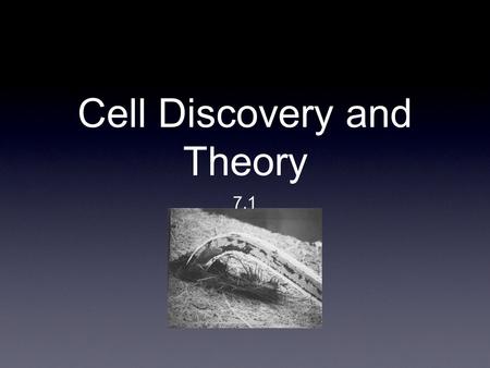 Cell Discovery and Theory 7.1. History o’ Microscope First magnifier created by using curved glass 1590- Compound Microscope created Cells discovered.