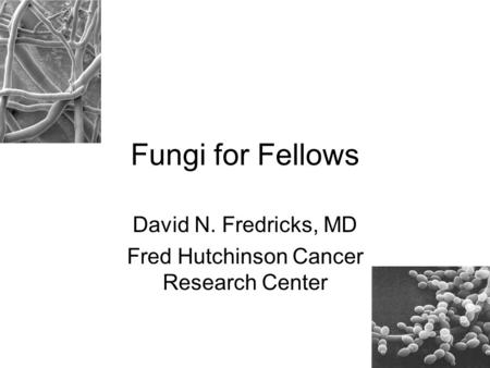 David N. Fredricks, MD Fred Hutchinson Cancer Research Center