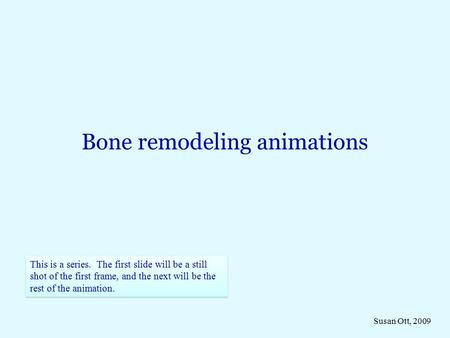 Bone remodeling animations This is a series. The first slide will be a still shot of the first frame, and the next will be the rest of the animation. Susan.
