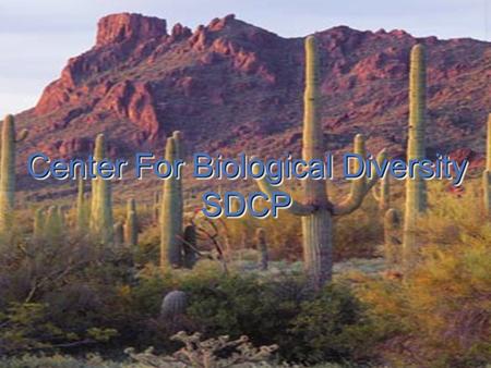 SDCP and the protection of biological diversity Center For Biological Diversity SDCP SDCP.