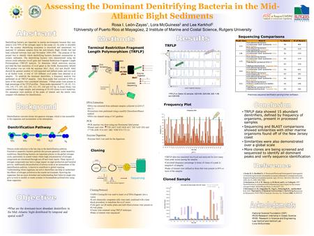 . Assessing the Dominant Denitrifying Bacteria in the Mid- Atlantic Bight Sediments What are the dominant/most abundant denitrifiers in the Mid -Atlantic.
