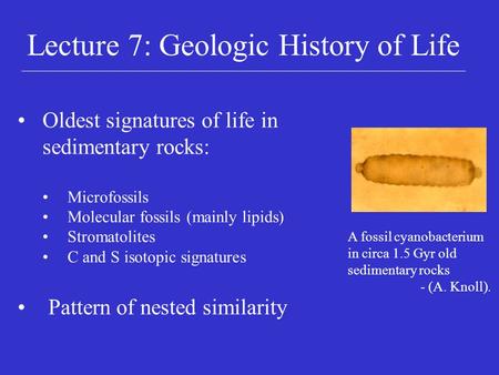 Lecture 7: Geologic History of Life Oldest signatures of life in sedimentary rocks: Microfossils Molecular fossils (mainly lipids) Stromatolites C and.