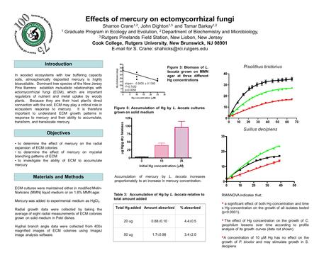 Effects of mercury on ectomycorrhizal fungi Sharron Crane 1,2, John Dighton 1,3 and Tamar Barkay 1,2 1 Graduate Program in Ecology and Evolution, 2 Department.