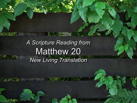 A Scripture Reading from Matthew 20 New Living Translation A Scripture Reading from Matthew 20 New Living Translation.