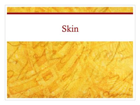 Skin. 3 Layers of the Skin Epidermis-Tough part of your body that acts like a protective shell. Ask: Can you think of another animal that has a protective.