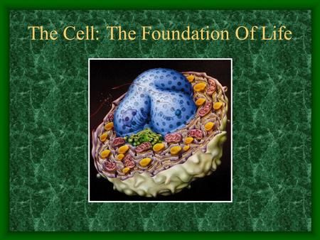 The Cell: The Foundation Of Life. Section 1.1 The Diversity and Commonality of Cells Prokaryotic cells –Have a plasma membrane –Lacks a defined nucleus.