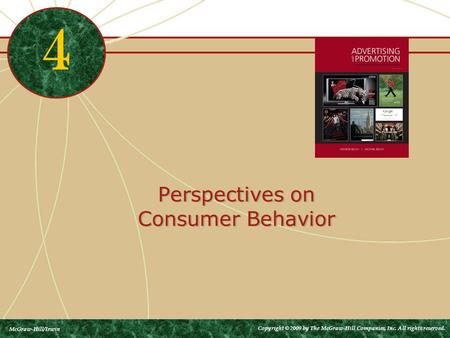 Perspectives on Consumer Behavior 4 McGraw-Hill/Irwin Copyright © 2009 by The McGraw-Hill Companies, Inc. All rights reserved.