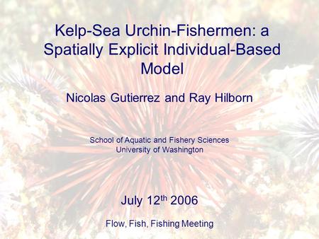 Kelp-Sea Urchin-Fishermen: a Spatially Explicit Individual-Based Model Nicolas Gutierrez and Ray Hilborn School of Aquatic and Fishery Sciences University.