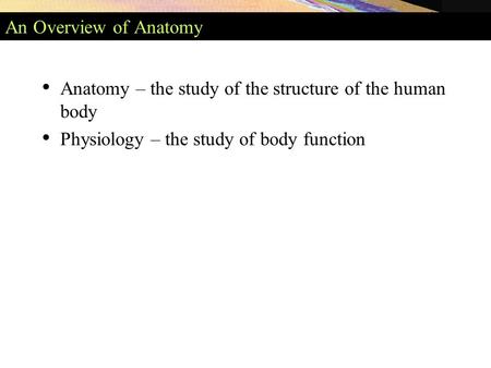 An Overview of Anatomy Anatomy – the study of the structure of the human body Physiology – the study of body function.