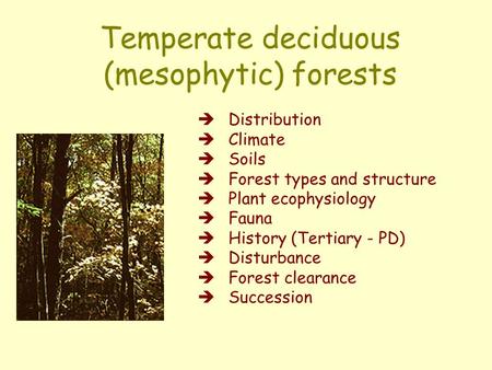 Temperate deciduous (mesophytic) forests  Distribution  Climate  Soils  Forest types and structure  Plant ecophysiology  Fauna  History (Tertiary.