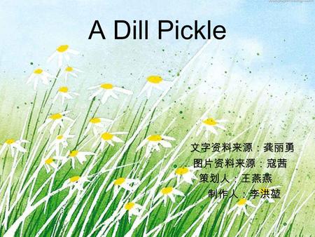 A Dill Pickle 文字资料来源：龚丽勇 图片资料来源：寇茜 策划人：王燕燕 制作人：李洪堃.