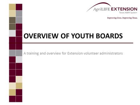 OVERVIEW OF YOUTH BOARDS A training and overview for Extension volunteer administrators.