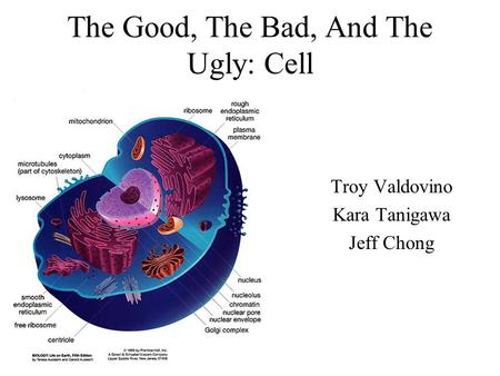 The Good, The Bad, And The Ugly: Cell Troy Valdovino Kara Tanigawa Jeff Chong.