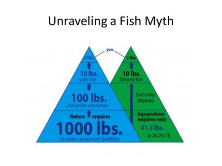 Unraveling a Fish Myth. Pervasive rhetoric: …aquaculture is less efficient than traditional fishing… “It takes 2-5 lbs of wild fish to produce 1 lb of.