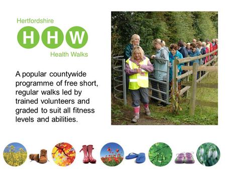 A popular countywide programme of free short, regular walks led by trained volunteers and graded to suit all fitness levels and abilities.