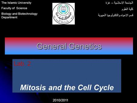 Mitosis and the Cell Cycle