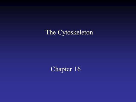 Chapter 16 The Cytoskeleton. Cell stained with general protein stain shows the cytoskeleton.