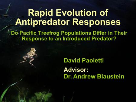 Rapid Evolution of Antipredator Responses Do Pacific Treefrog Populations Differ in Their Response to an Introduced Predator? David Paoletti Advisor: Dr.