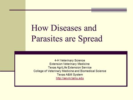 How Diseases and Parasites are Spread 4-H Veterinary Science Extension Veterinary Medicine Texas AgriLife Extension Service College of Veterinary Medicine.