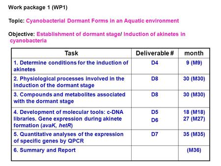 Work package 1 (WP1) Topic: Cyanobacterial Dormant Forms in an Aquatic environment Objective: Establishment of dormant stage/ Induction of akinetes in.