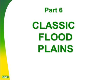Part 6 CLASSIC FLOOD PLAINS. FLOOD PLAINS Flood plains are those alluvial valleys that are periodically subject to inundation by flooding of a natural.