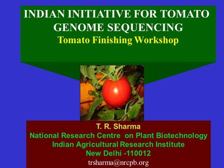 INDIAN INITIATIVE FOR TOMATO GENOME SEQUENCING Tomato Finishing Workshop T. R. Sharma National Research Centre on Plant Biotechnology Indian Agricultural.
