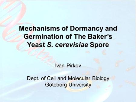 Mechanisms of Dormancy and Germination of The Baker’s Yeast S. cerevisiae Spore Ivan Pirkov Dept. of Cell and Molecular Biology Göteborg University.