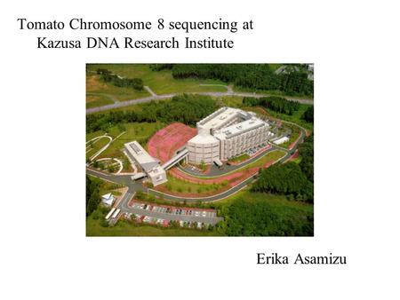 Tomato Chromosome 8 sequencing at Kazusa DNA Research Institute Erika Asamizu.