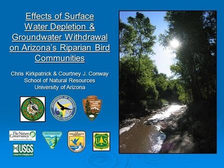 Effects of Surface Water Depletion & Groundwater Withdrawal on Arizona’s Riparian Bird Communities Chris Kirkpatrick & Courtney J. Conway School of Natural.