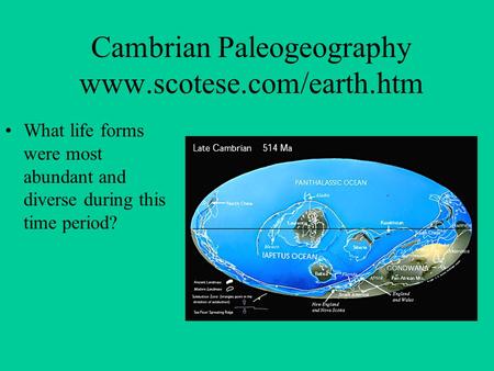 Cambrian Paleogeography www.scotese.com/earth.htm What life forms were most abundant and diverse during this time period?