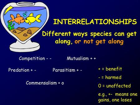 INTERRELATIONSHIPS Different ways species can get along, or not get along Predation + - Competition - - Parasitism + - Commensalism + o Mutualism + + +