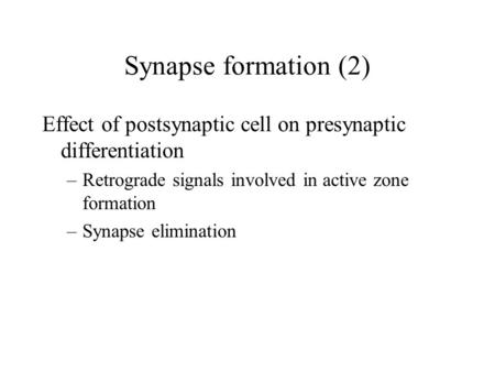 Synapse formation (2) Effect of postsynaptic cell on presynaptic differentiation –Retrograde signals involved in active zone formation –Synapse elimination.