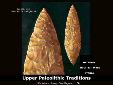 Life Nature Library, Cro-Magnon, p. 60. Solutrean “laurel leaf” blade France Class Slides Set 23 Tools and Technologies III Upper Paleolithic Traditions.