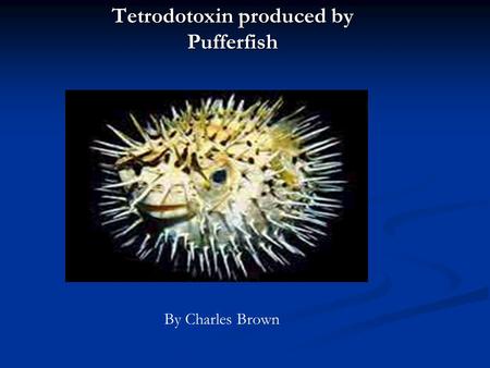 Tetrodotoxin produced by Pufferfish By Charles Brown.