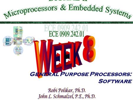 General Purpose Processors: Software. This Week In DIG II  Introduction  Basic Architecture  Memory  Programmer’s view (that would be you !)  Development.