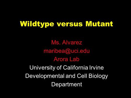 Wildtype versus Mutant Ms. Alvarez Arora Lab University of California Irvine Developmental and Cell Biology Department.