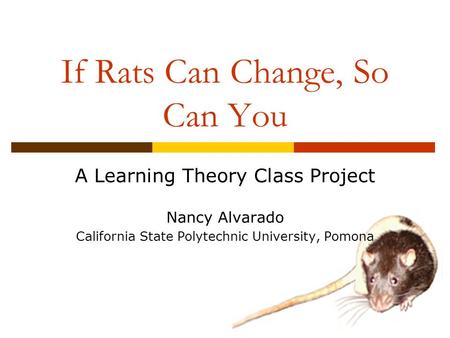 If Rats Can Change, So Can You A Learning Theory Class Project Nancy Alvarado California State Polytechnic University, Pomona.