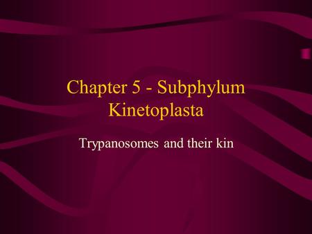 Chapter 5 - Subphylum Kinetoplasta Trypanosomes and their kin.