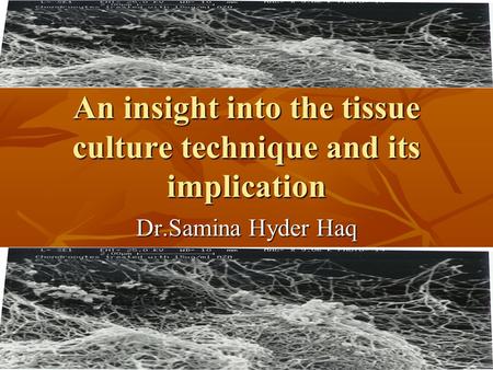 An insight into the tissue culture technique and its implication Dr.Samina Hyder Haq.