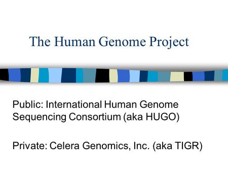 The Human Genome Project Public: International Human Genome Sequencing Consortium (aka HUGO) Private: Celera Genomics, Inc. (aka TIGR)