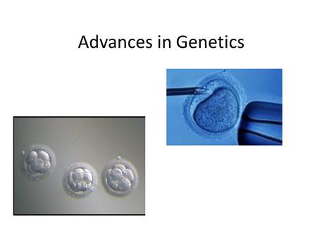 Advances in Genetics. Selective Breeding Process of selecting a few organisms with desired traits as parents for the next generation.