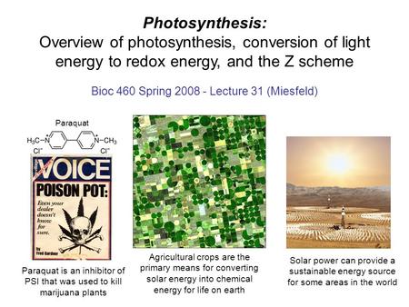 Photosynthesis: Overview of photosynthesis, conversion of light energy to redox energy, and the Z scheme Bioc 460 Spring 2008 - Lecture 31 (Miesfeld) Solar.